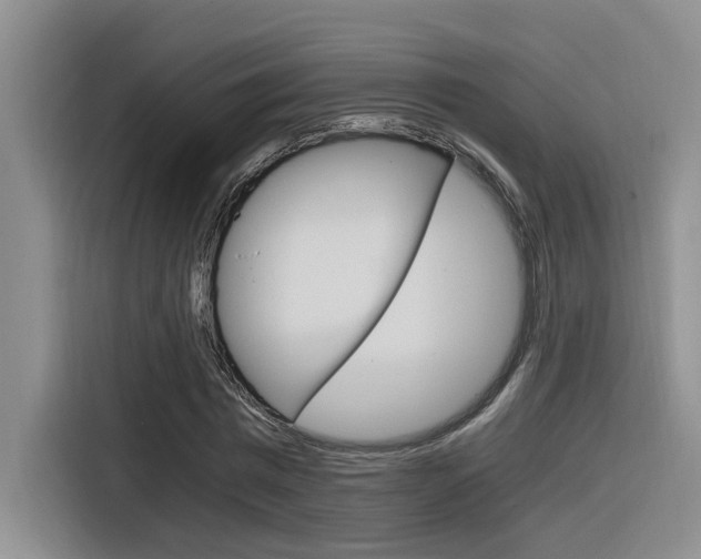 X0000116390777200912021005