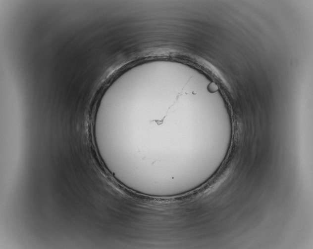 X0000116390778200912021005