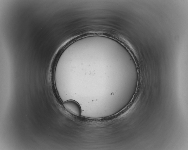X0000116390779200912021005