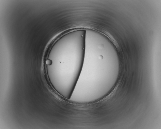 X0000116390780200912021005
