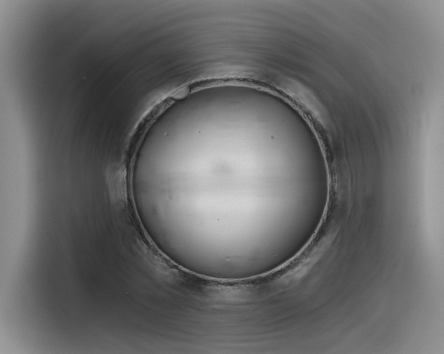 X0000116390781200912021005