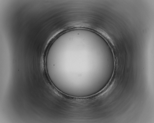 X0000116390782200912021005