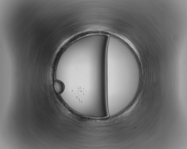 X0000116390783200912021005