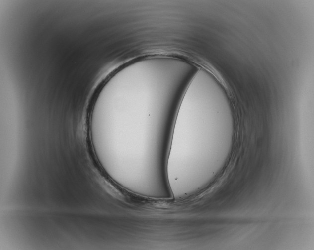 X0000116390787200912021005