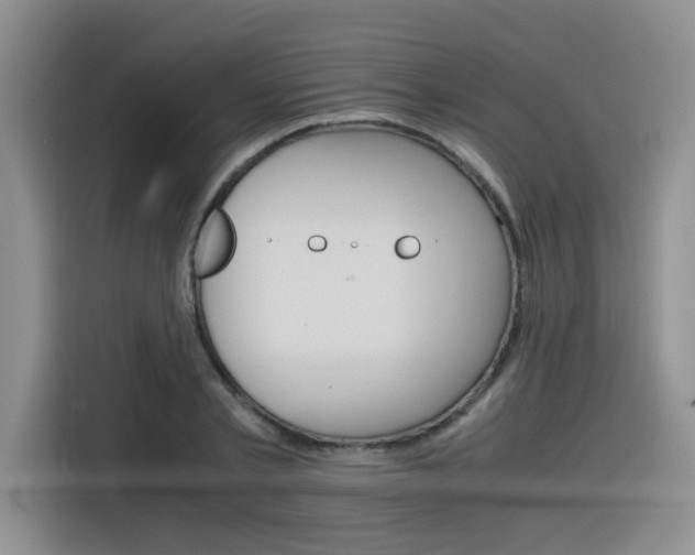 X0000116390789200912021005
