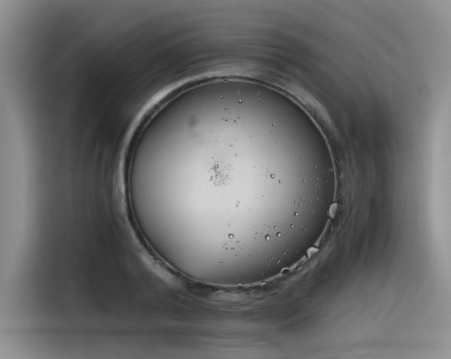 X0000116390792200912021005
