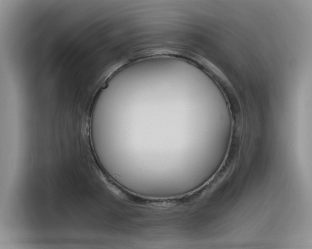 X0000116390793200912021005