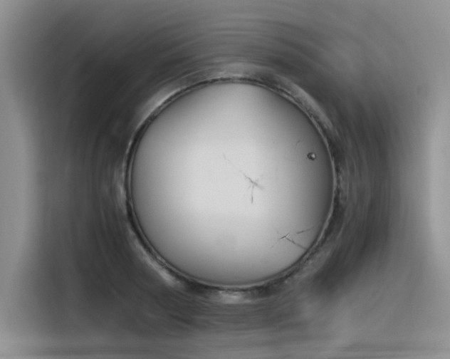 X0000116390794200912021005