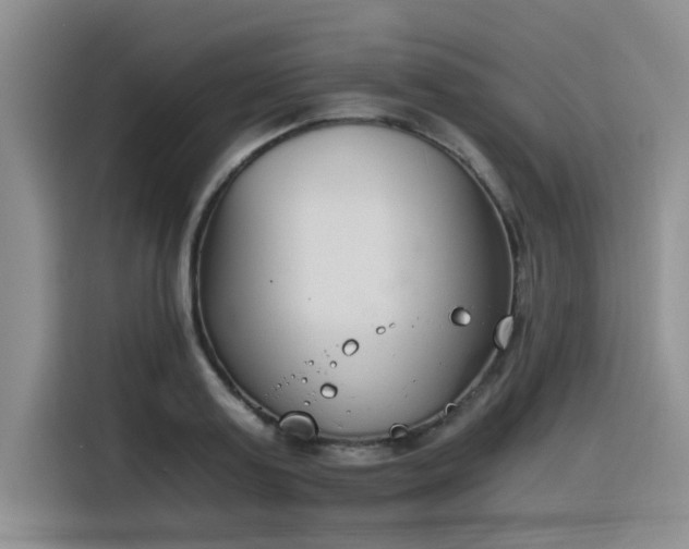 X0000116390795200912021005