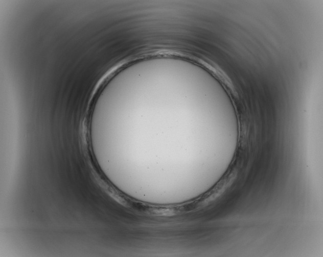 X0000116390798200912021005