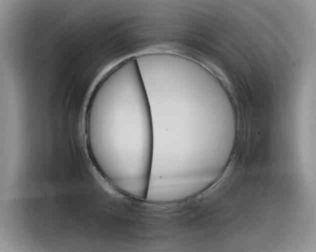 X0000116390800200912021005