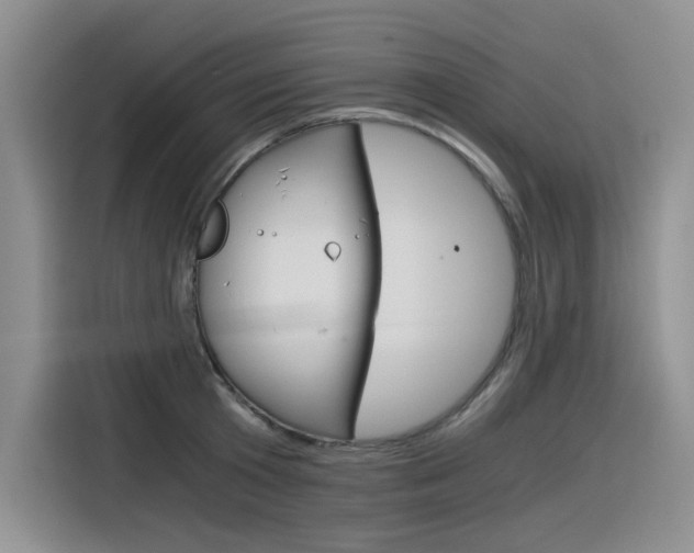 X0000116390801200912021005