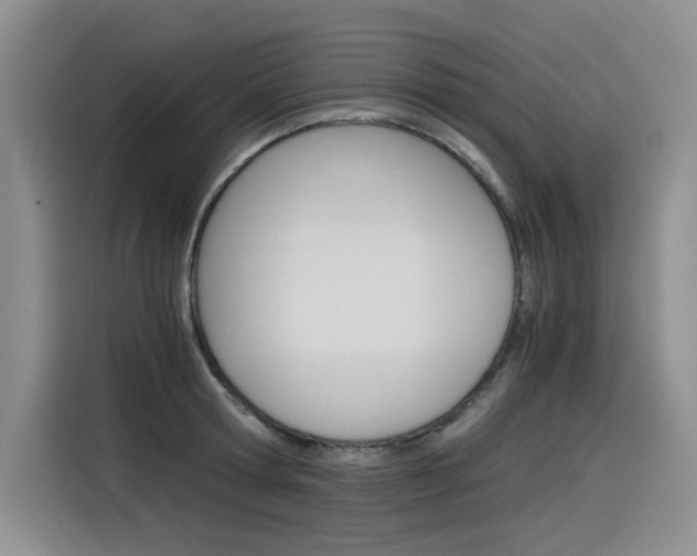 X0000116390802200912021005