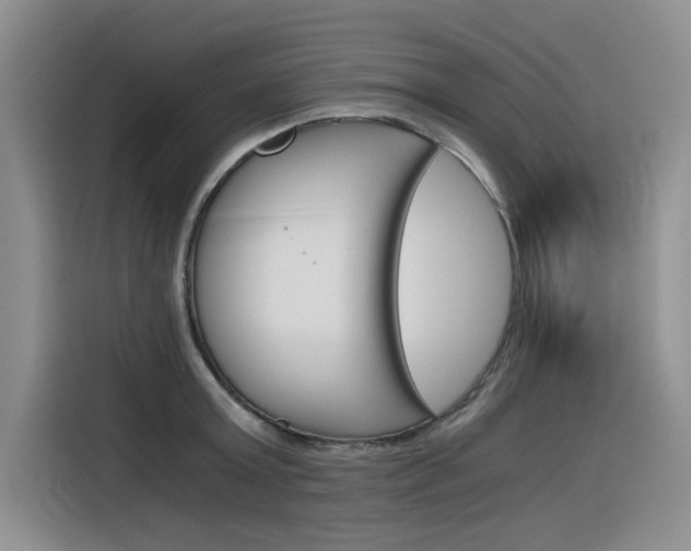 X0000116390803200912021005