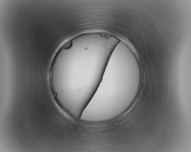 X0000116390805200912021005