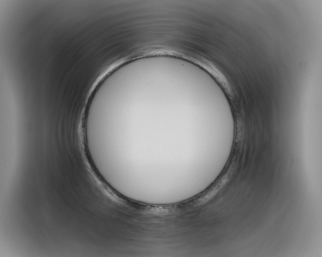 X0000116390806200912021005