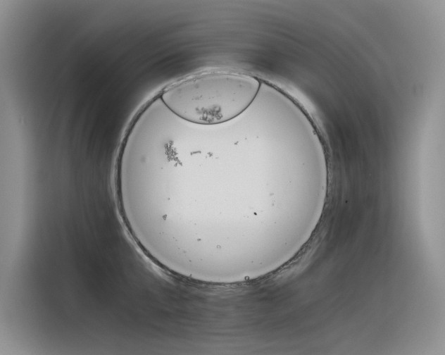 X0000116390807200912021005