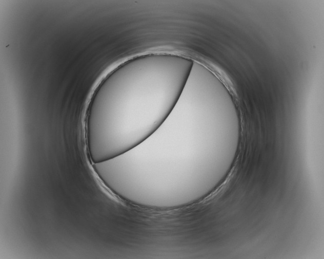X0000116390808200912021005