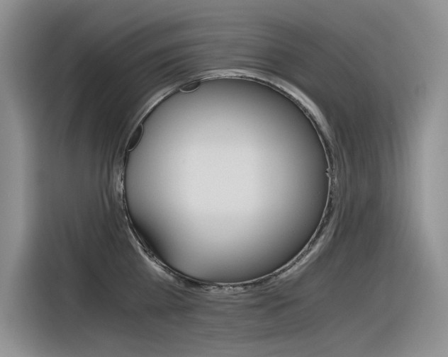 X0000116390809200912021005