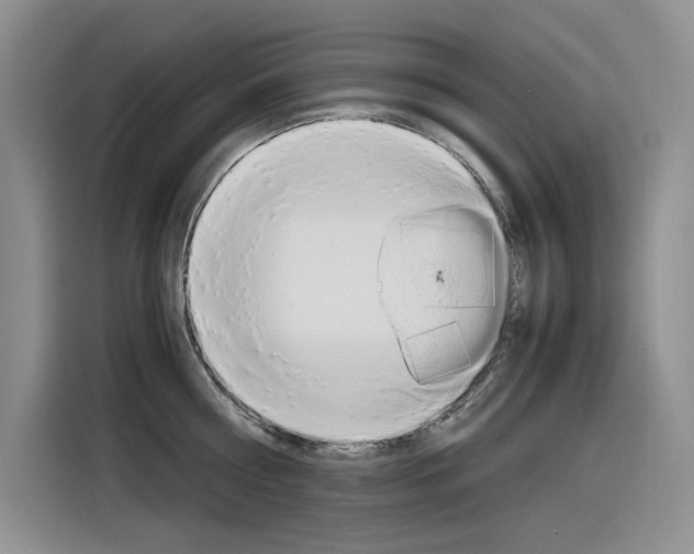 X0000116390810200912021005