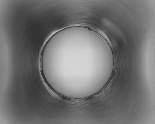 X0000116390811200912021005