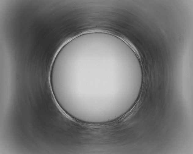 X0000116390813200912021005