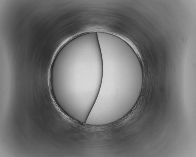 X0000116390815200912021005