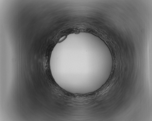 X0000116390818200912021004