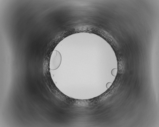 X0000116390820200912021004