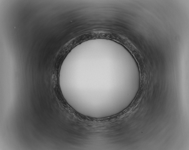 X0000116390821200912021004