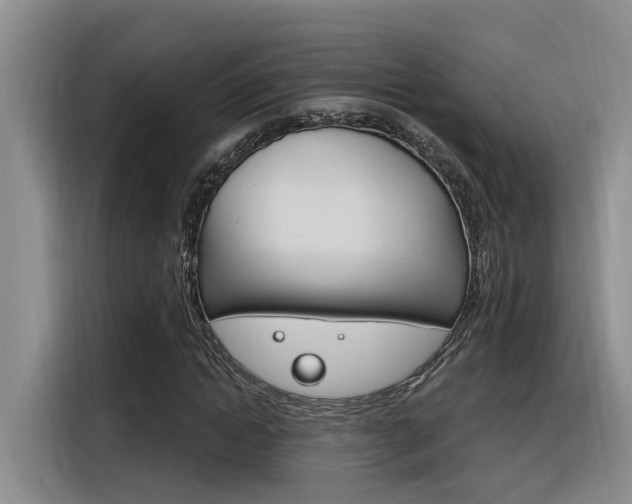 X0000116390822200912021004