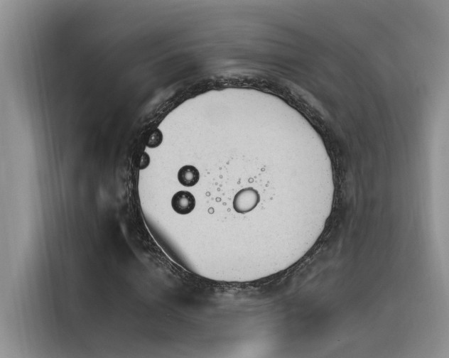X0000116390824200912021004