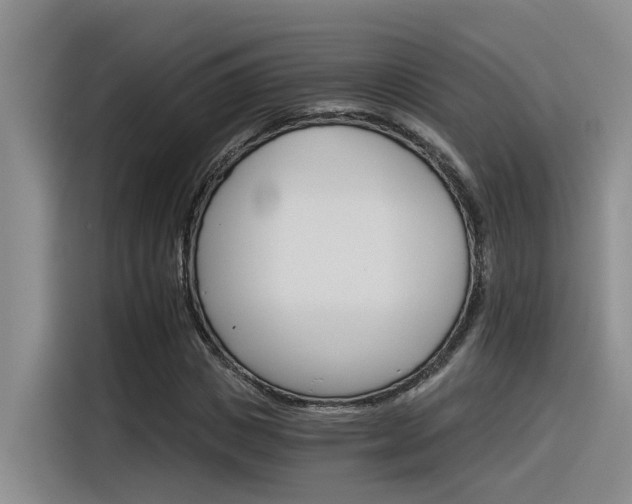 X0000116390825200912021004