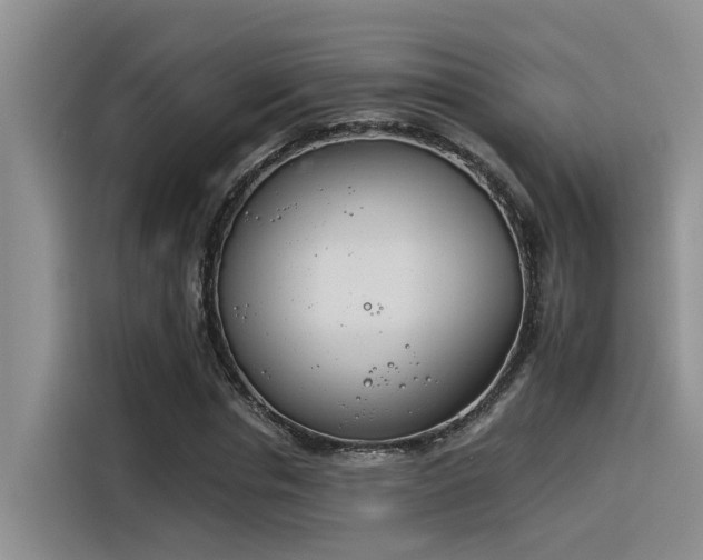 X0000116390826200912021004