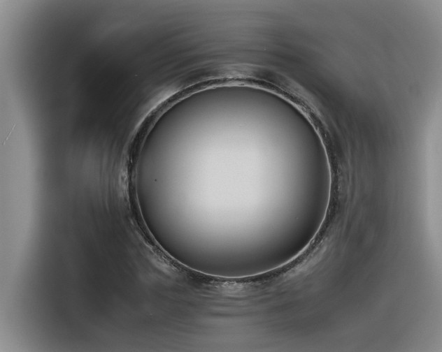 X0000116390827200912021004
