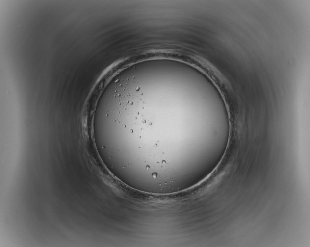 X0000116390830200912021004