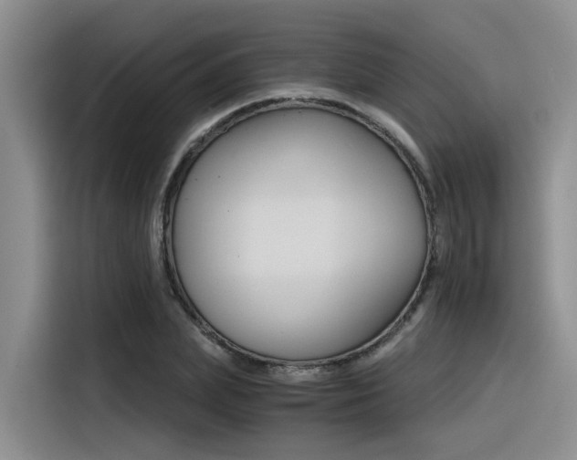 X0000116390831200912021004