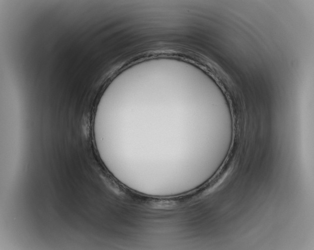 X0000116390833200912021004