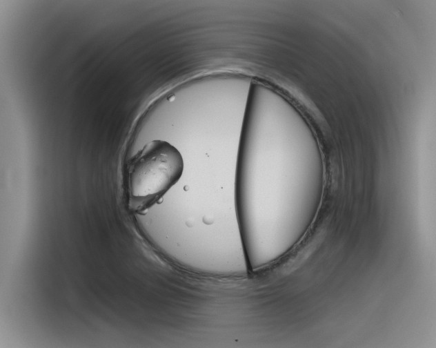 X0000116390834200912021004