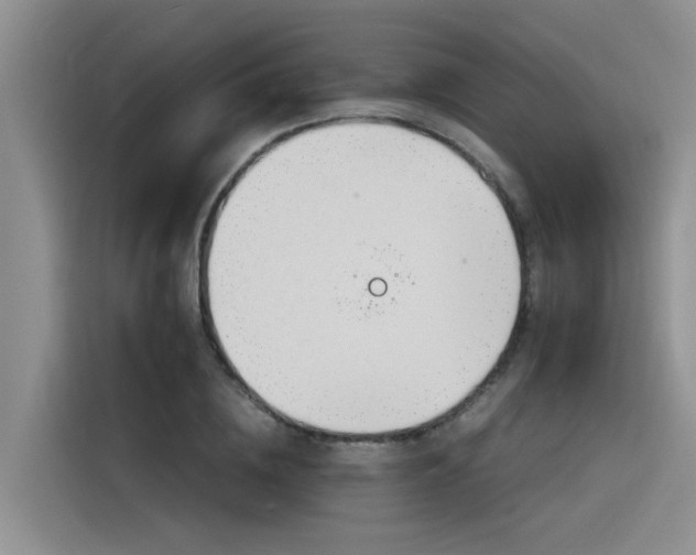 X0000116390836200912021004