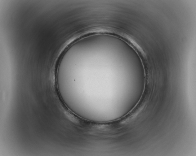 X0000116390837200912021004