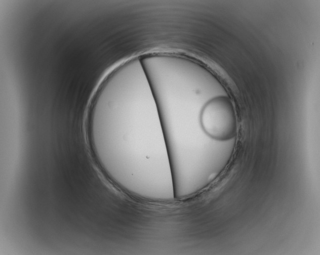 X0000116390838200912021004