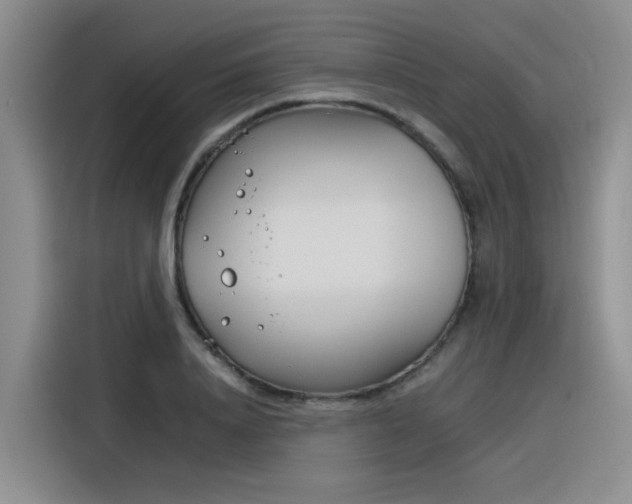 X0000116390840200912021004