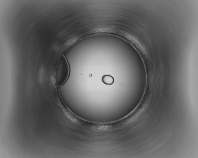 X0000116390841200912021004