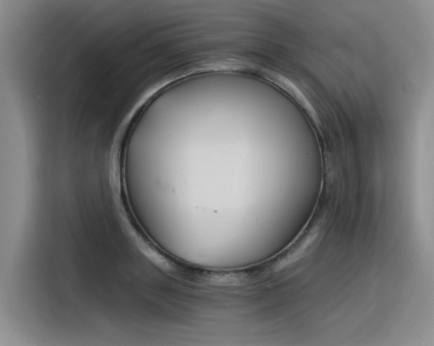 X0000116390843200912021004