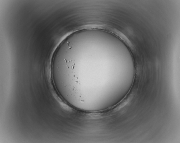 X0000116390844200912021004
