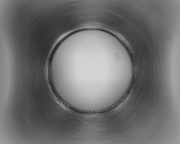 X0000116390846200912021004