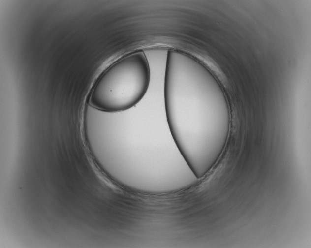X0000116390850200912021004