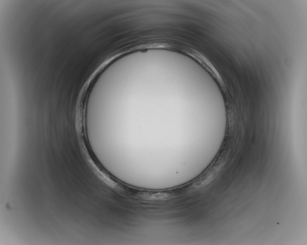 X0000116390851200912021004