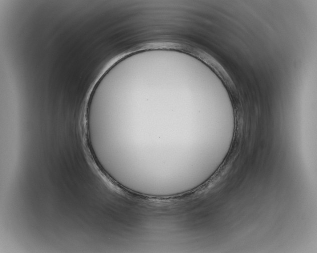 X0000116390852200912021004